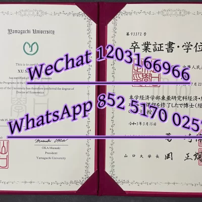 毕业证丢了怎么办?2026日本大学学历证书、成绩单补办时间与步骤详解