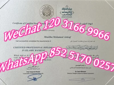 沙迦大学毕业证-Sharjah University Diploma