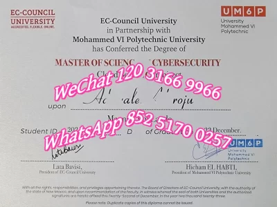 穆罕默德五世大学毕业证-Mohammed V University Diploma
