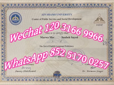 艾因夏姆斯大学毕业证-Diploma from Ain Shams University