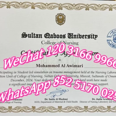 苏丹卡布斯大学：2026年阿曼顶尖学府申请与学习全攻略
