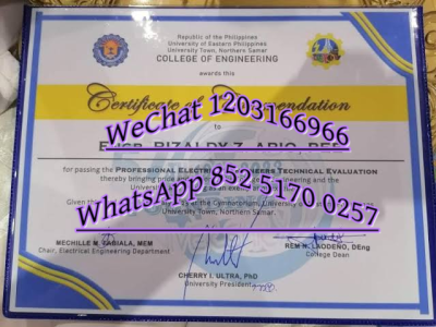 菲律宾大学毕业证-Diploma from the University of the Philippines