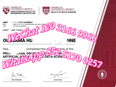 美国贝鲁特美国大学毕业证-Diploma from the American University of Beirut