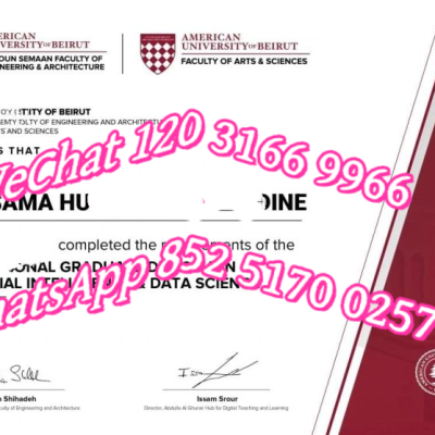 贝鲁特美国大学(AUB)全景解读:2026世界排名、学费、申请条件、专业设置、奖学金与生活成本