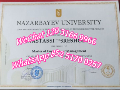 阿尔法拉比哈萨克国立大学文凭_Diploma from Alpha Rabi Kazakh National University