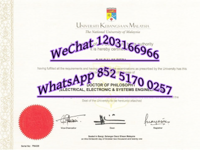 马来亚国民大学毕业证-Diploma from National University of Malaya.0