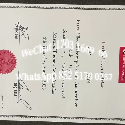 马来西亚大学怎么选？公立、私立、外国分校全面解析与择校指南