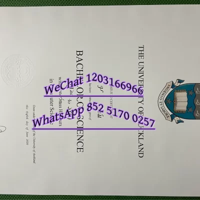 新西兰奥克兰大学专业怎么选？结合就业与移民现实的深度解析
