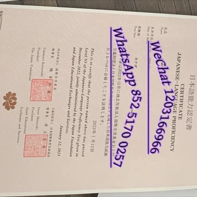 日本大学交叉与新兴学科专业学历认证与毕业证补办指南