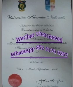 爱尔兰国立梅努斯大学_副本