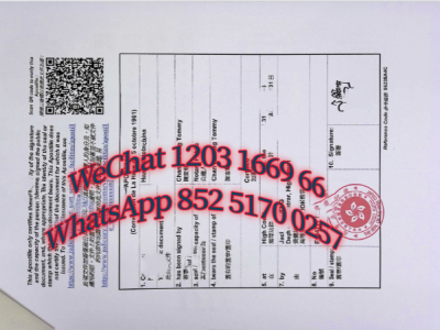 美国大学海牙认证
