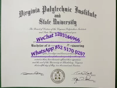 美国弗吉尼亚理工大学,弗吉尼亚理工学院暨州立大学Virginia Polytechnic Institute and State University
