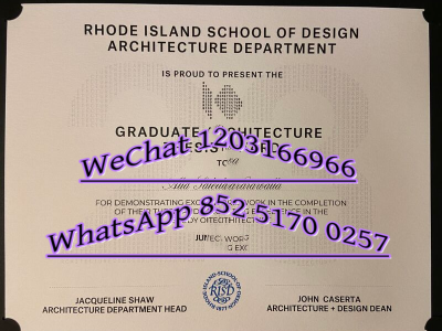 美国罗德岛设计学院毕业证Diploma from Rhode Island School of Design