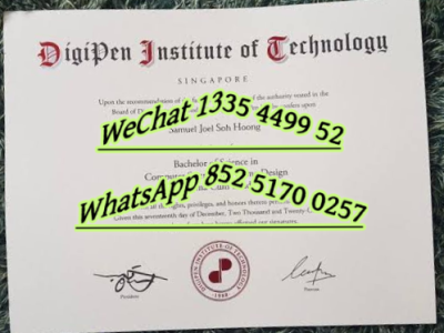 迪吉彭理工学院Diploma from Dijipeng Institute of Technology_副本
