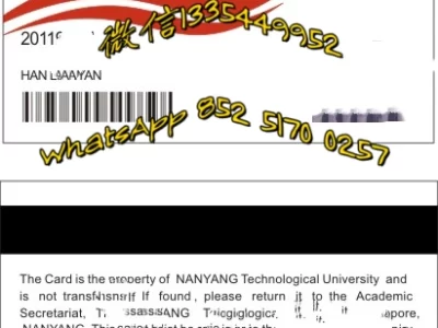南洋理工大学交换生项目证书1_副本