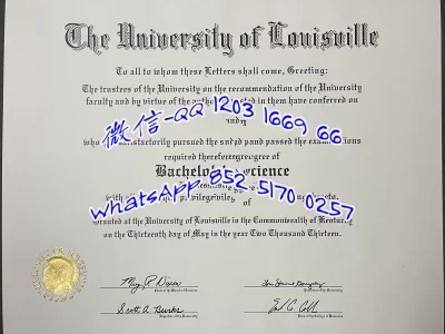 美国路易斯维尔大学毕业证实拍（University of Louisville