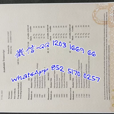 伯明翰大学学院（UCB）申请指南：2026年学位政策变化、优势专业与申请条件全解析