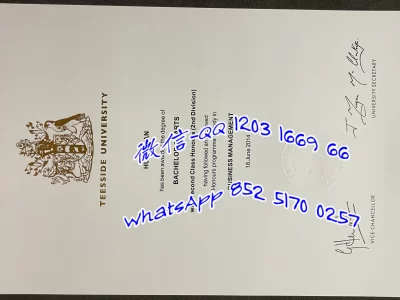 英国提赛德大学teesside university