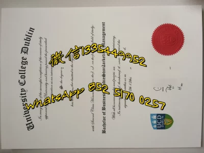 都柏林大学学院 University College Dublin