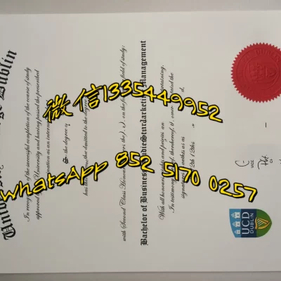 都柏林大学学院申请指南：2026年QS排名、英语授课硕士与申请条件全解析